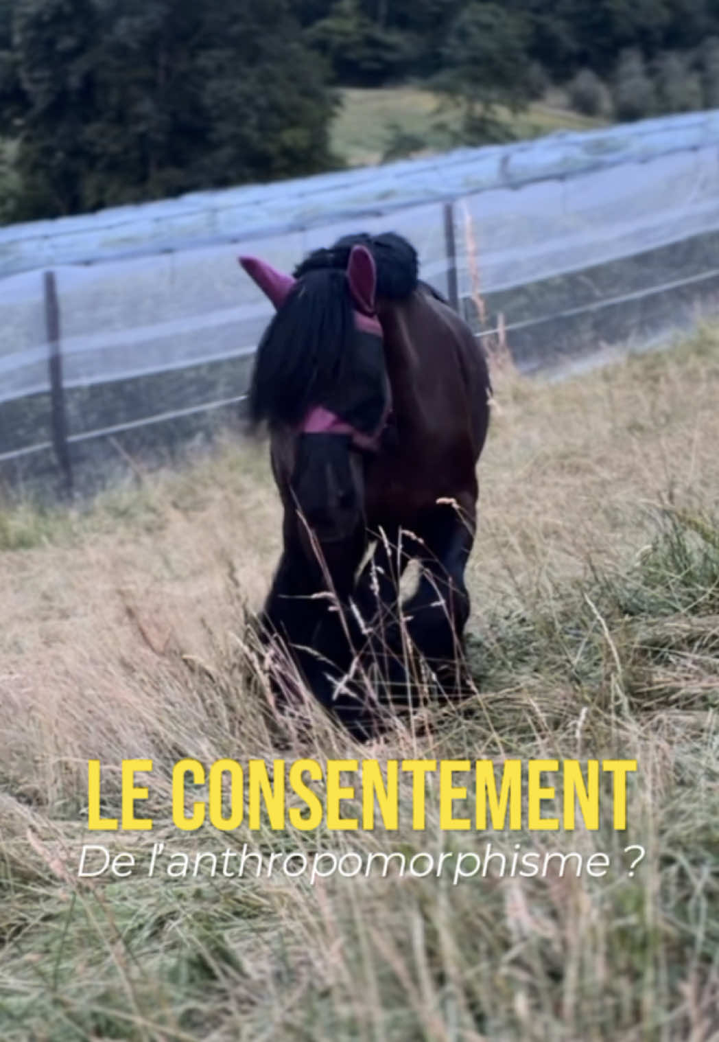 @Untraitdecheval