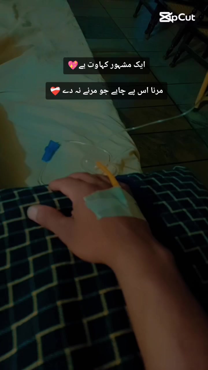 @༆𝓓𝓲𝓵𝓵 𝓭𝓪 𝓳𝓪𝓷𝓲 ✨