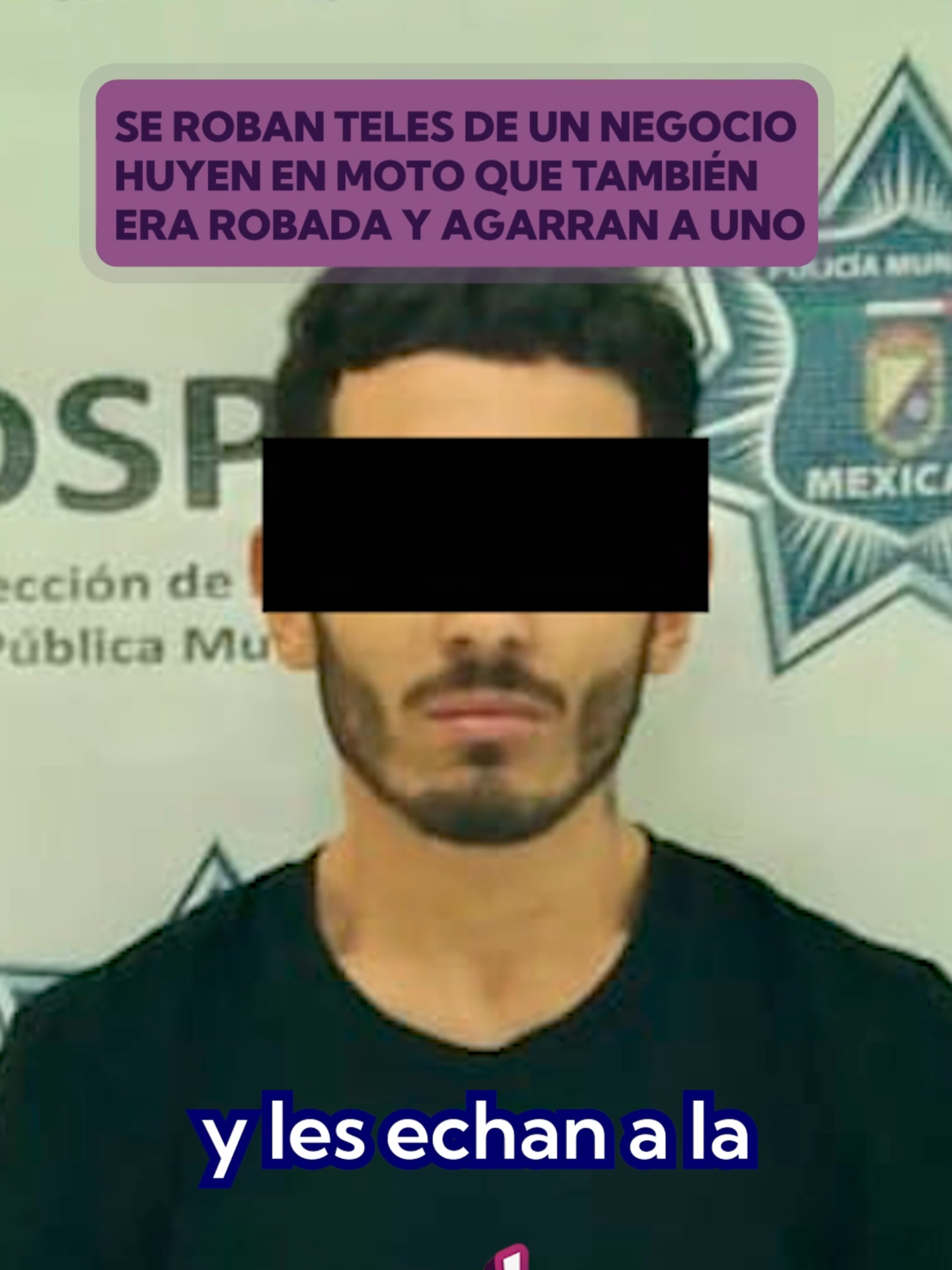 @Creala Noticia