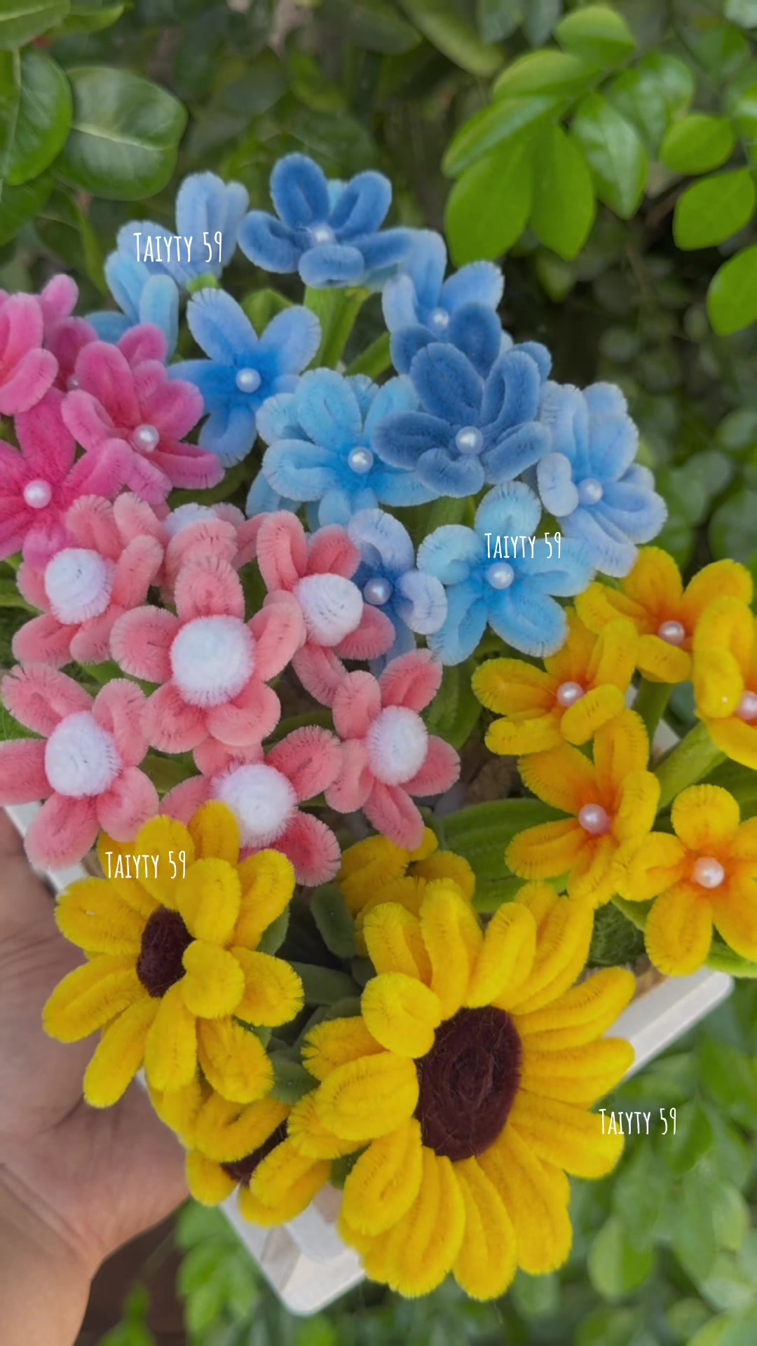 @Taiyty59ต่ายตี้ 🌹