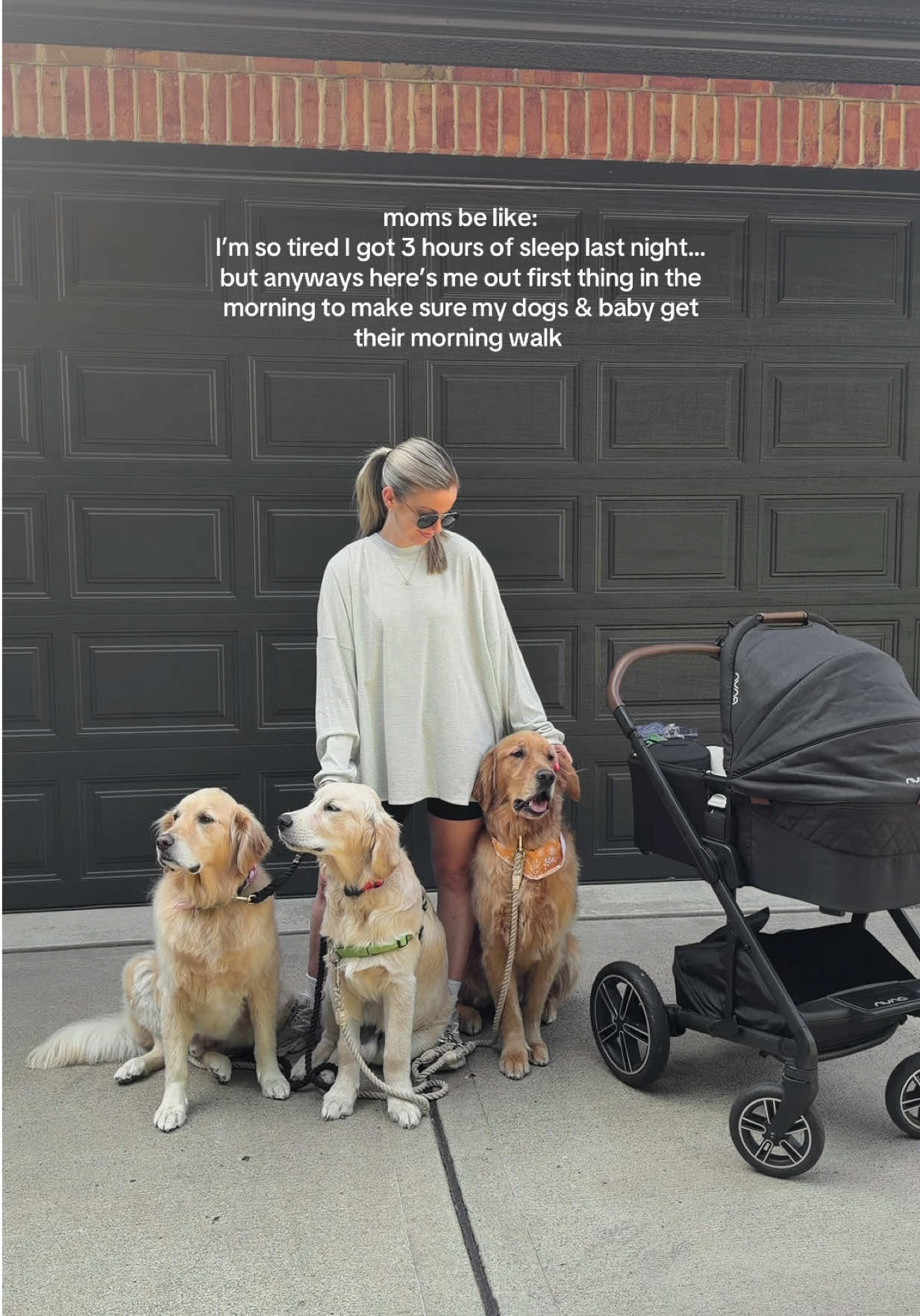 @agoldendogmom