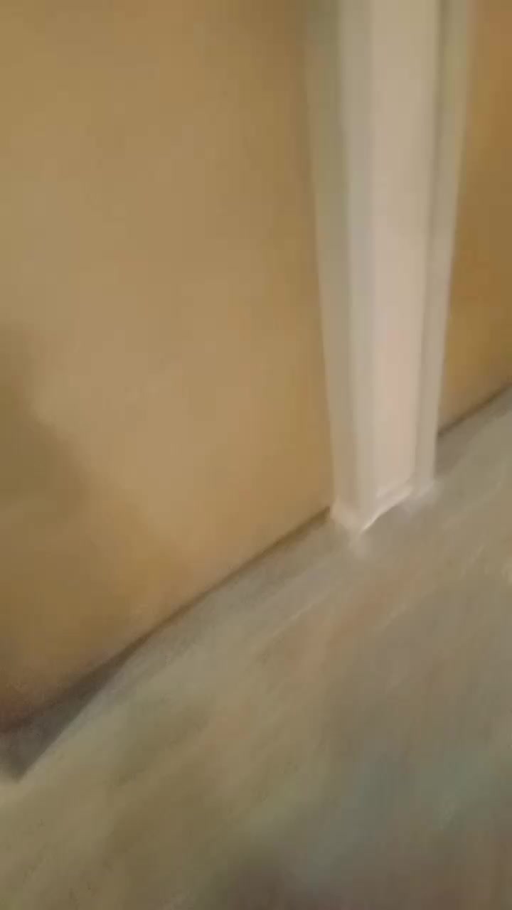 @aryani
