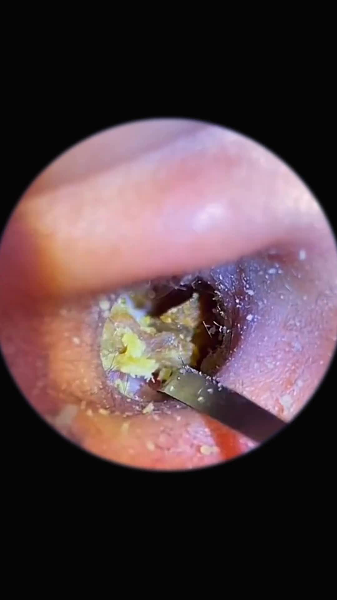 @user6745491840038
