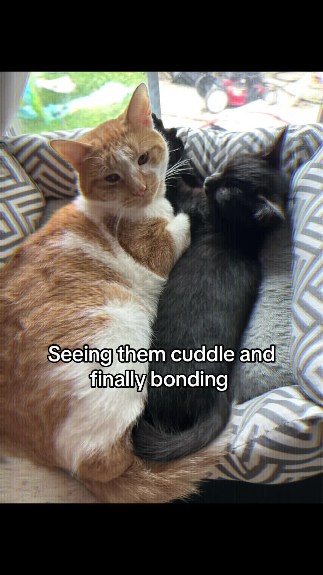 @Blondiee🃏🛢️♠️🐎