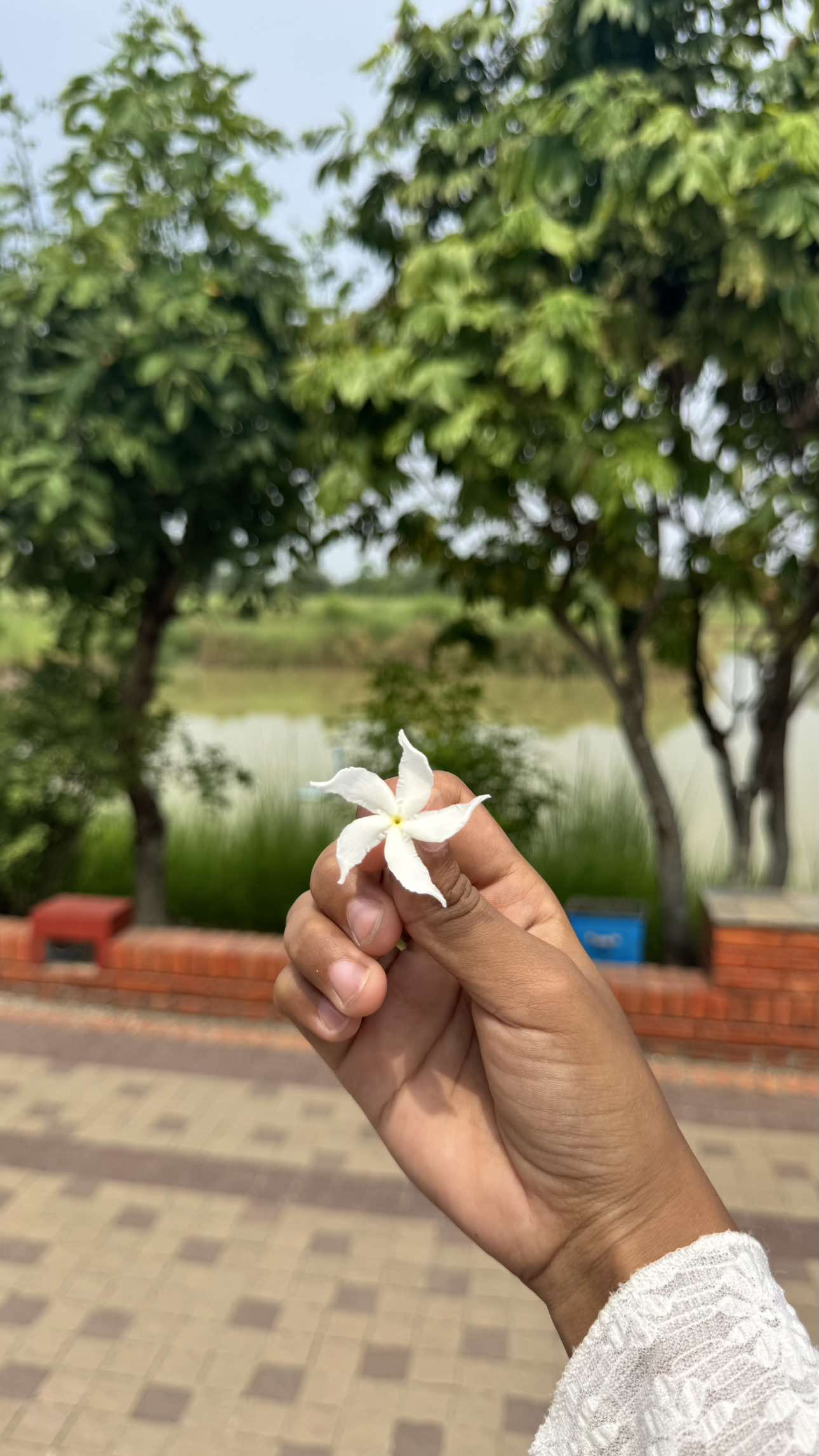 @Khusbu 🌻