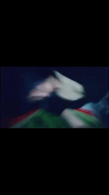 @Horrorkittyzz