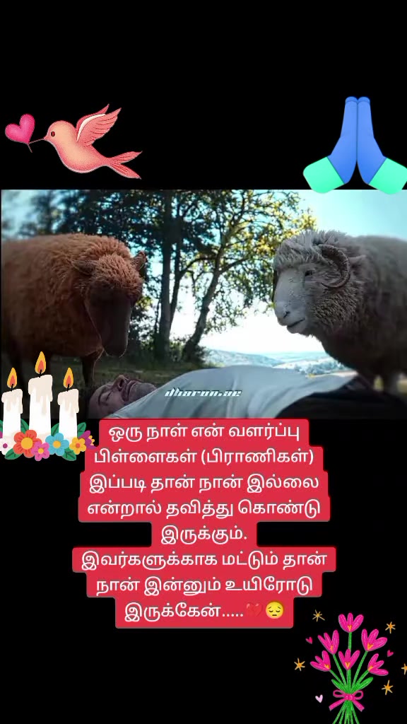 @🧚SajeeKutty21🧚