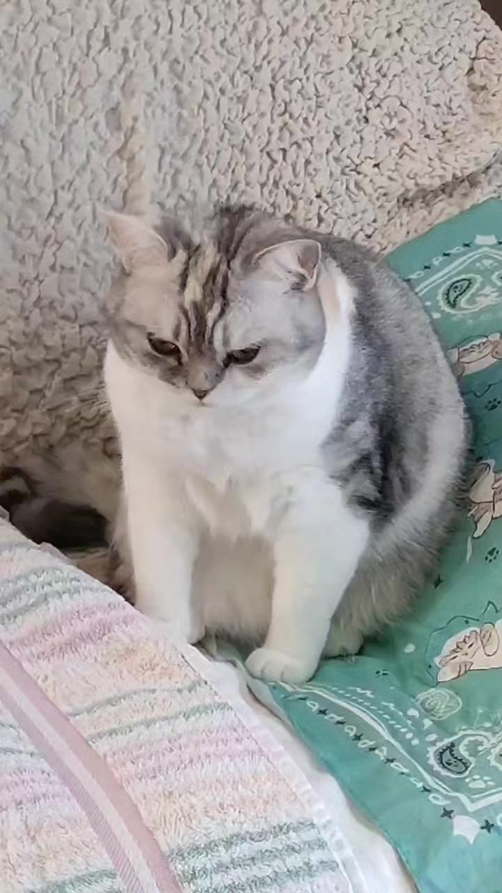 @くるくる8