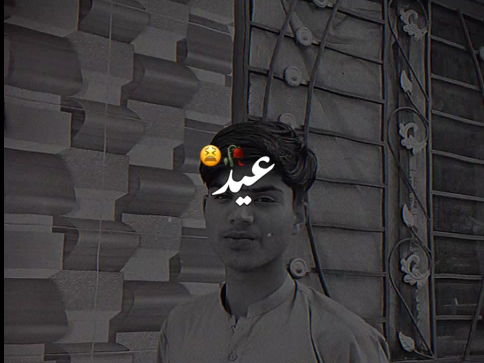 @zohaib007