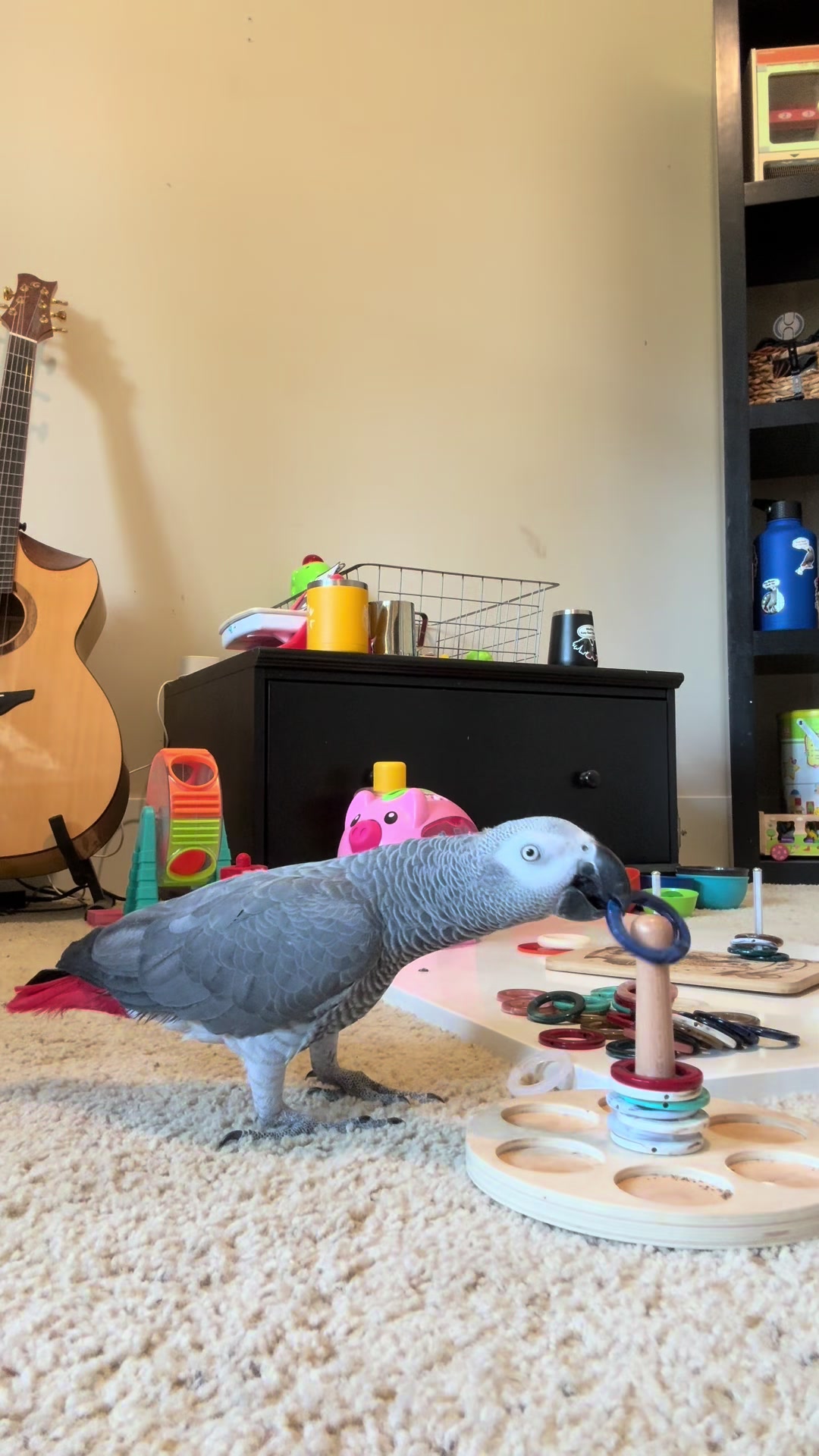 @thehinzoo