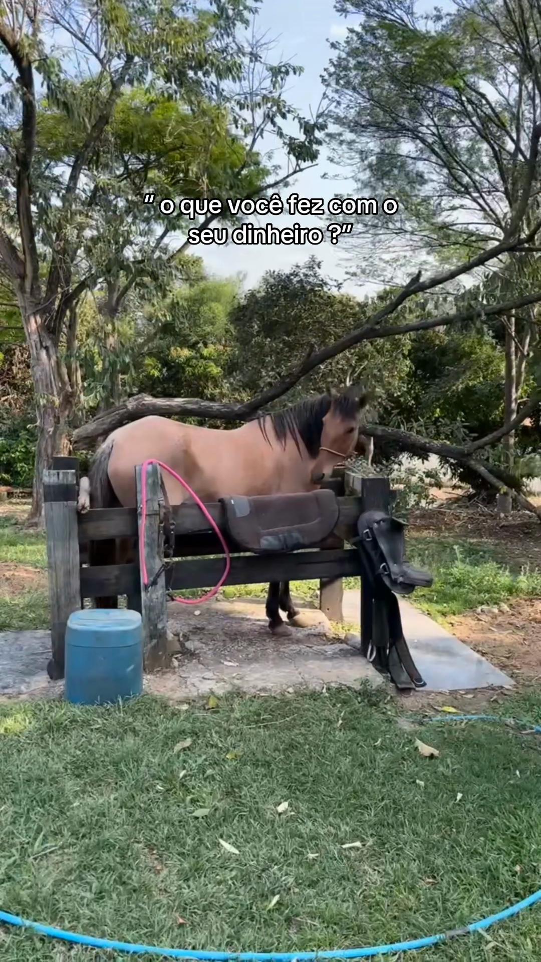 @dudxx
