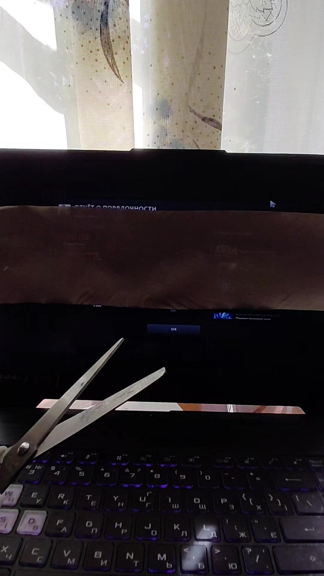 @zxc бери берду
