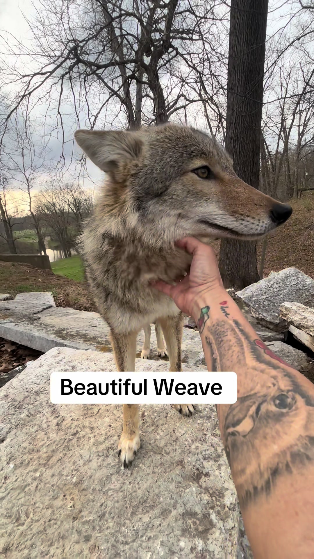 @ittybittyfarm1