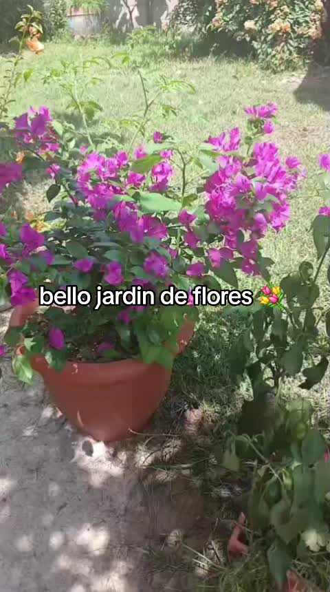 @juli^🇬🇹chapina 🇬🇹🫶😘