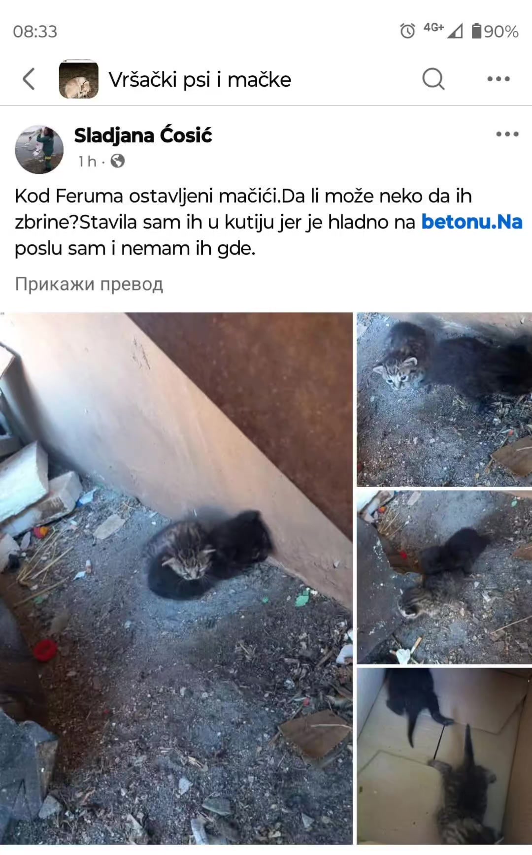 @cats&dogs)
