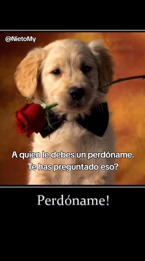 @Tejiendoredesdeconsciencia@Nie