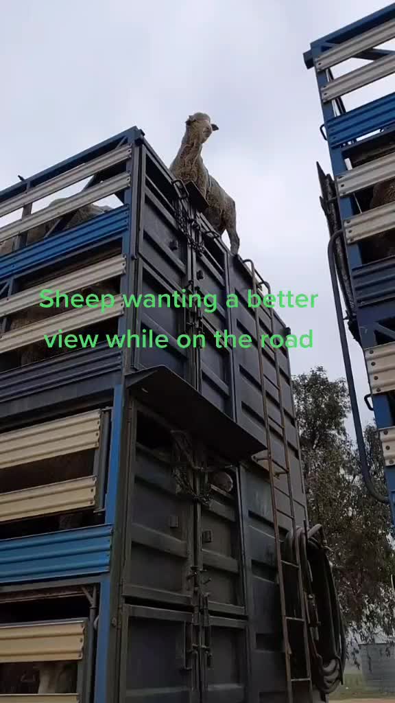 @Joey
