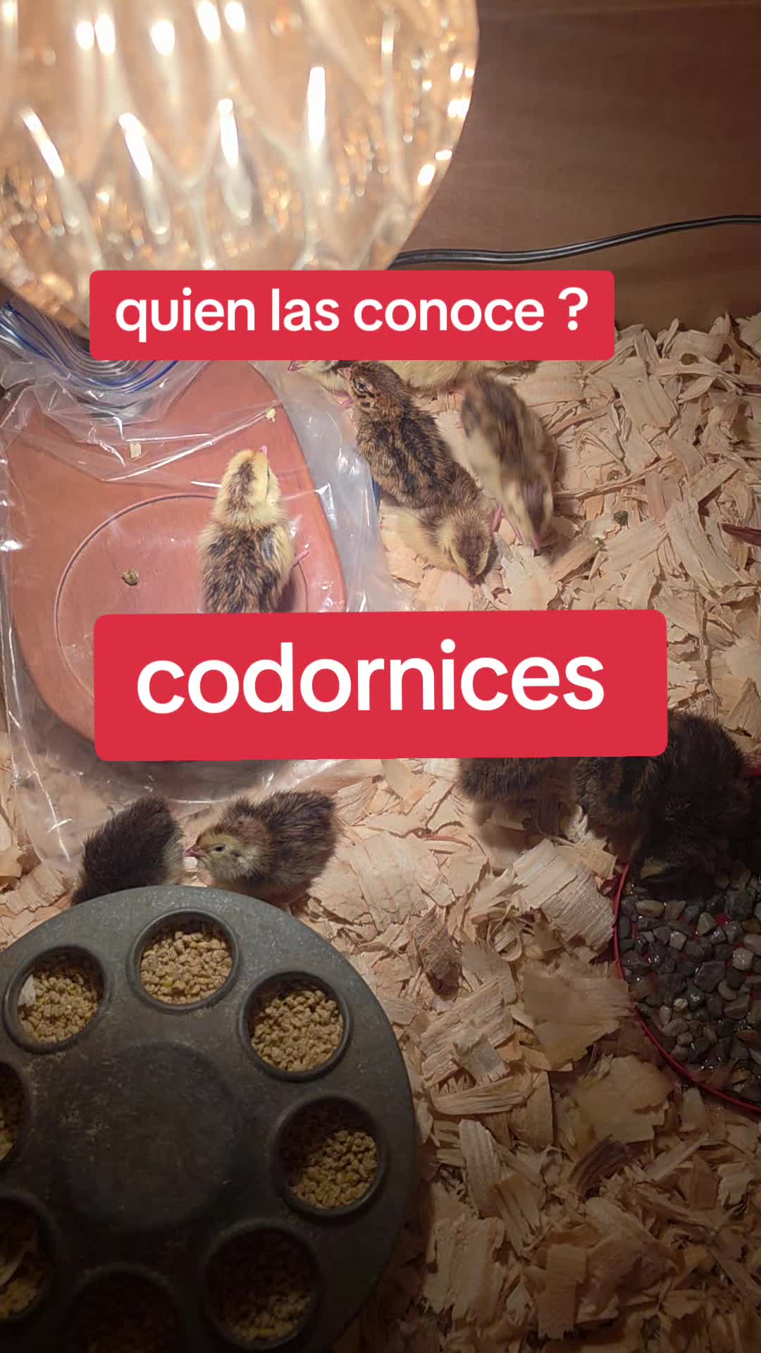 @mayte.famersRanch🐄🐃🐂🐑