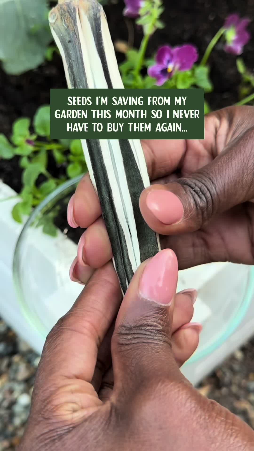 @curlycultivators