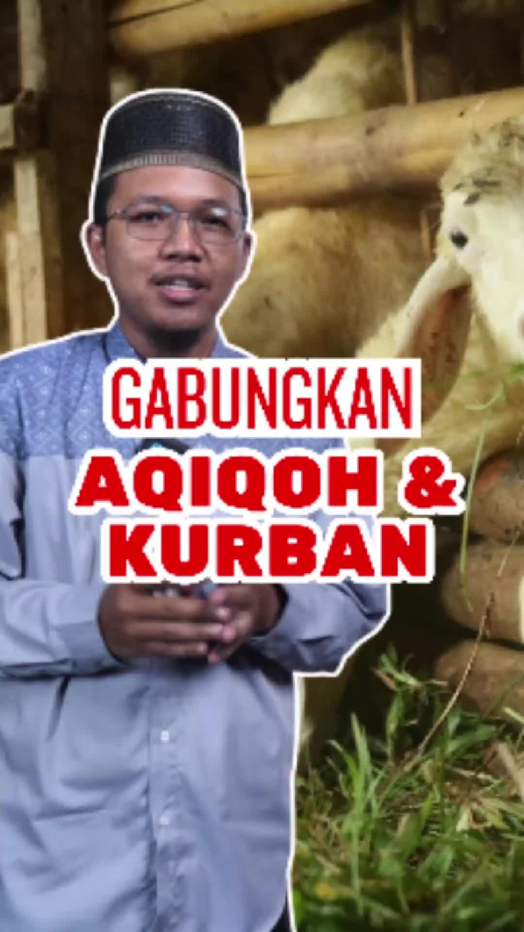 @almahbaroh