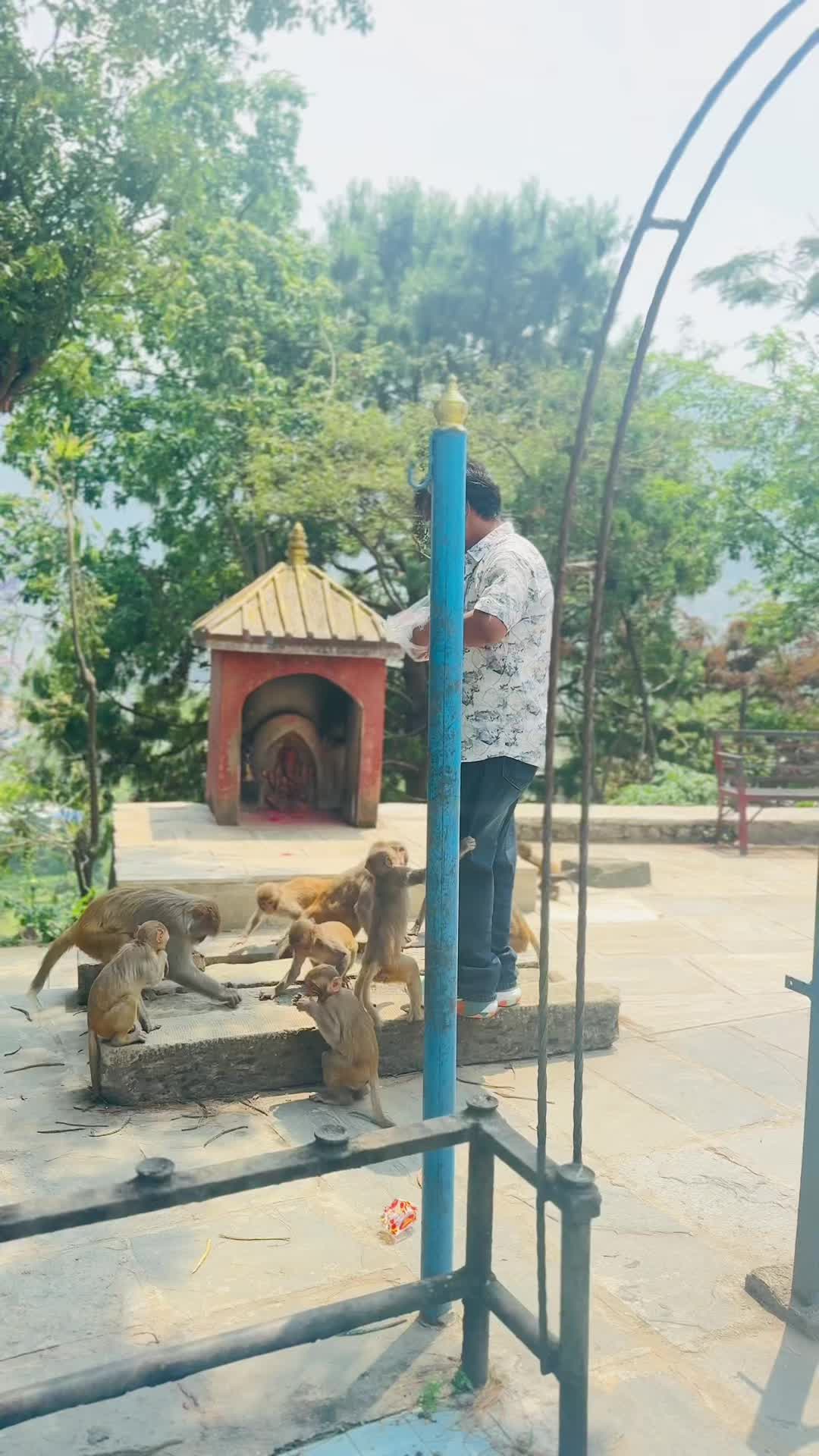 @Bhagirath Chalaune