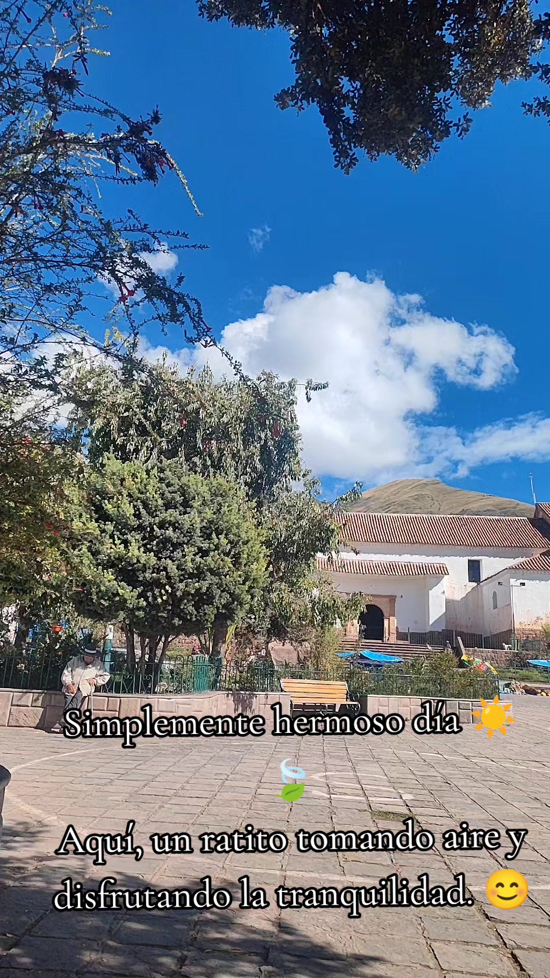 @MALLQUI LU🤗🦁 ÚNICA ✌️🌻🌻🦁