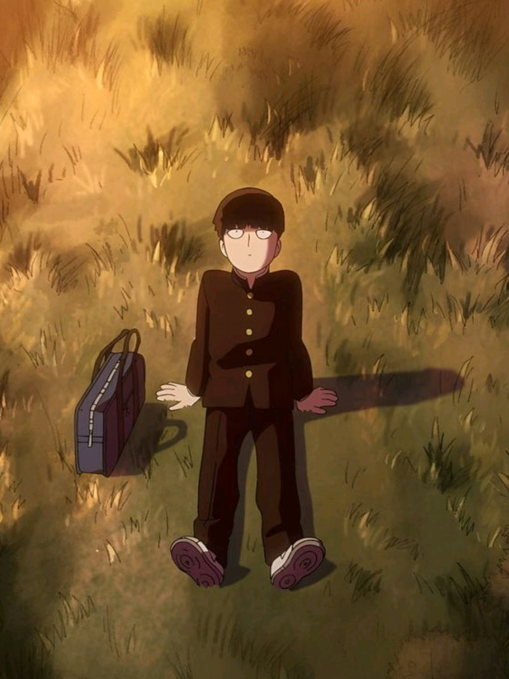 @shigeo_core