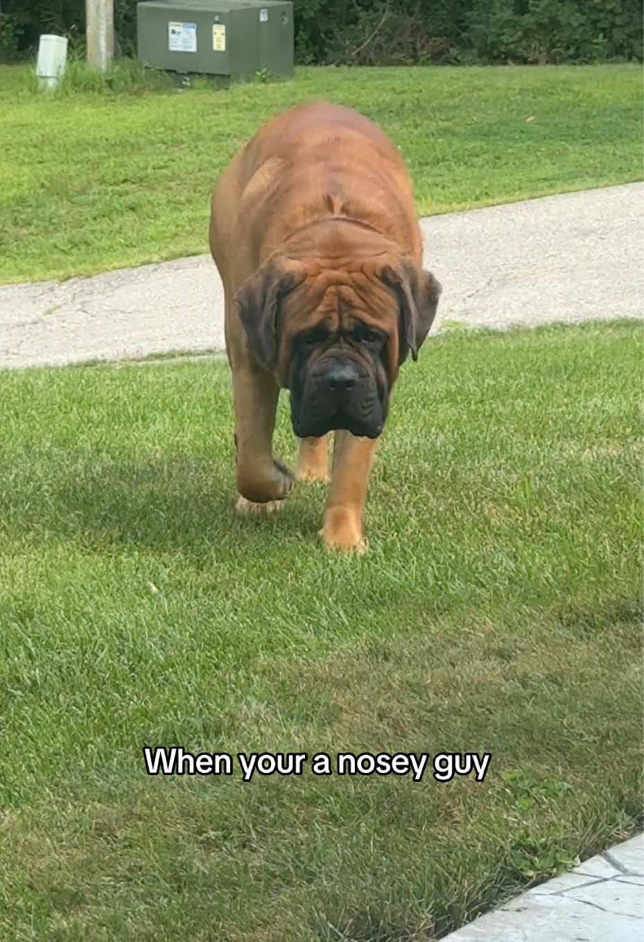 @Amy