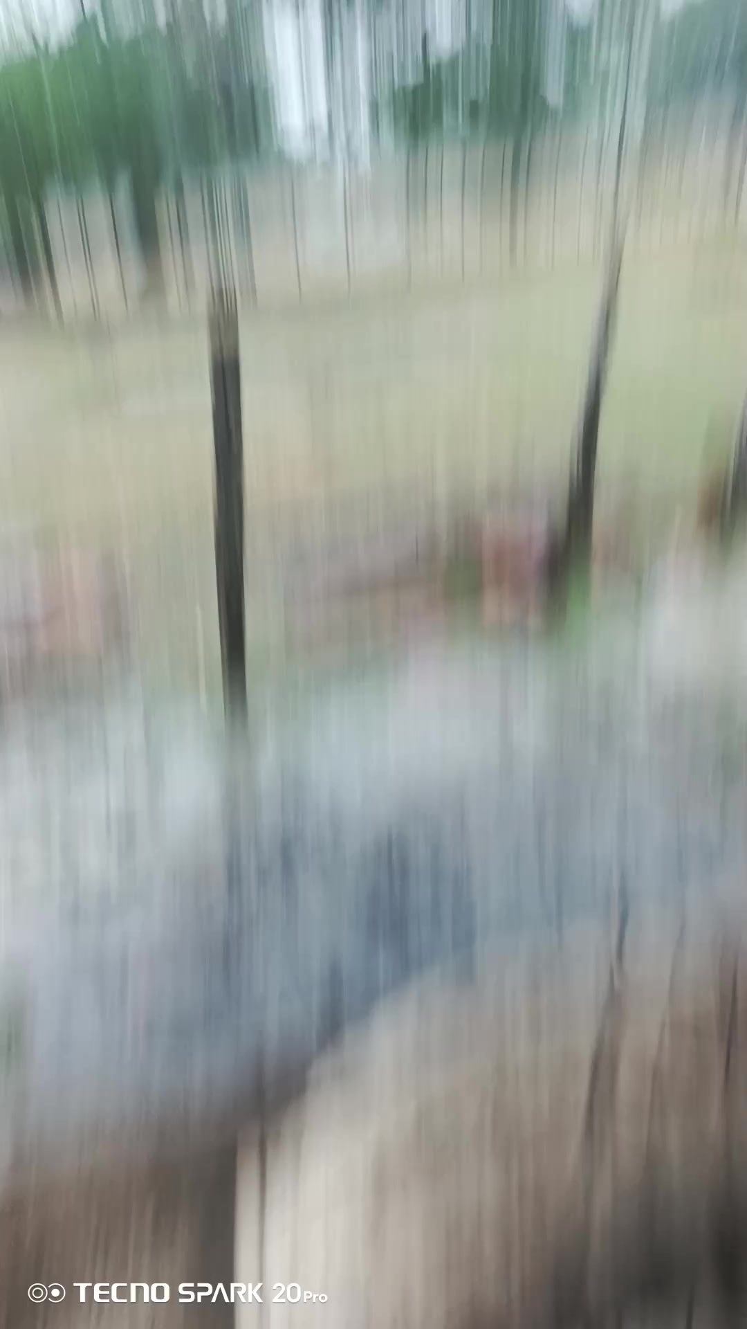 @José Mujica
