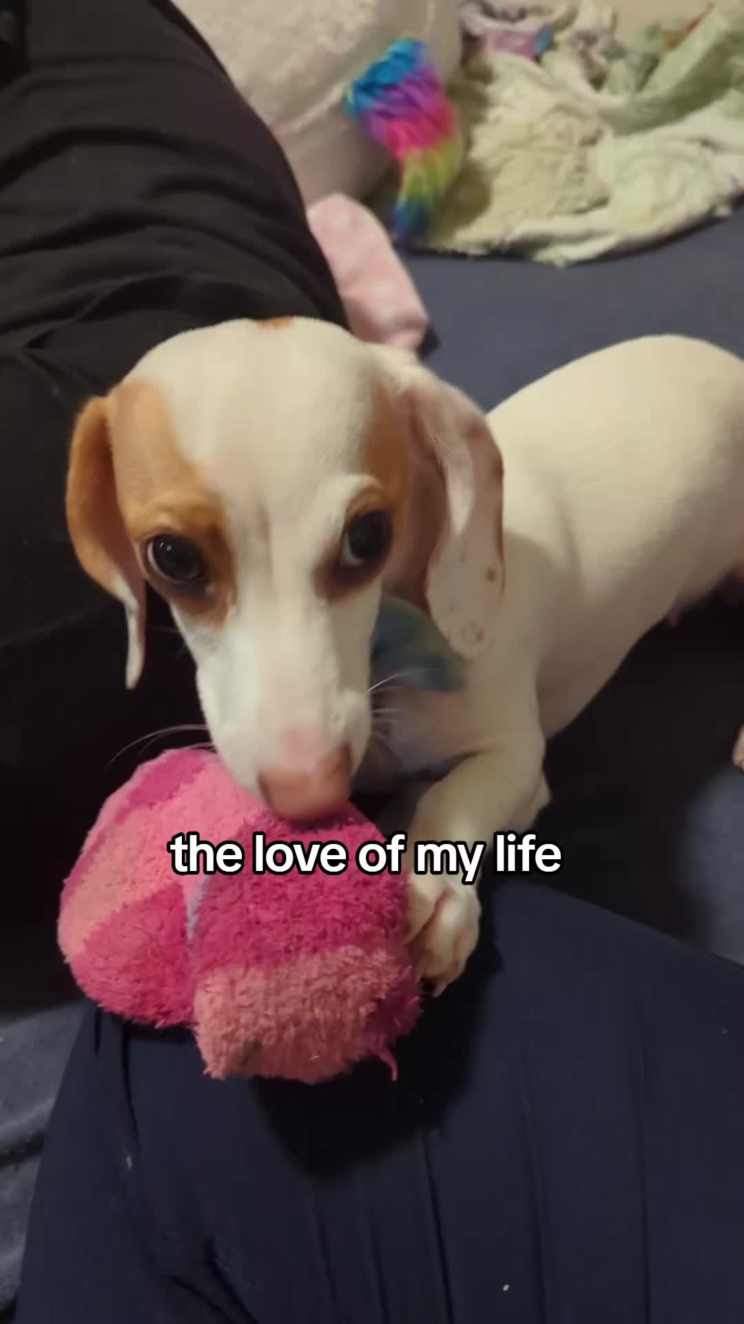 @EmoChickThatsBroken🖤