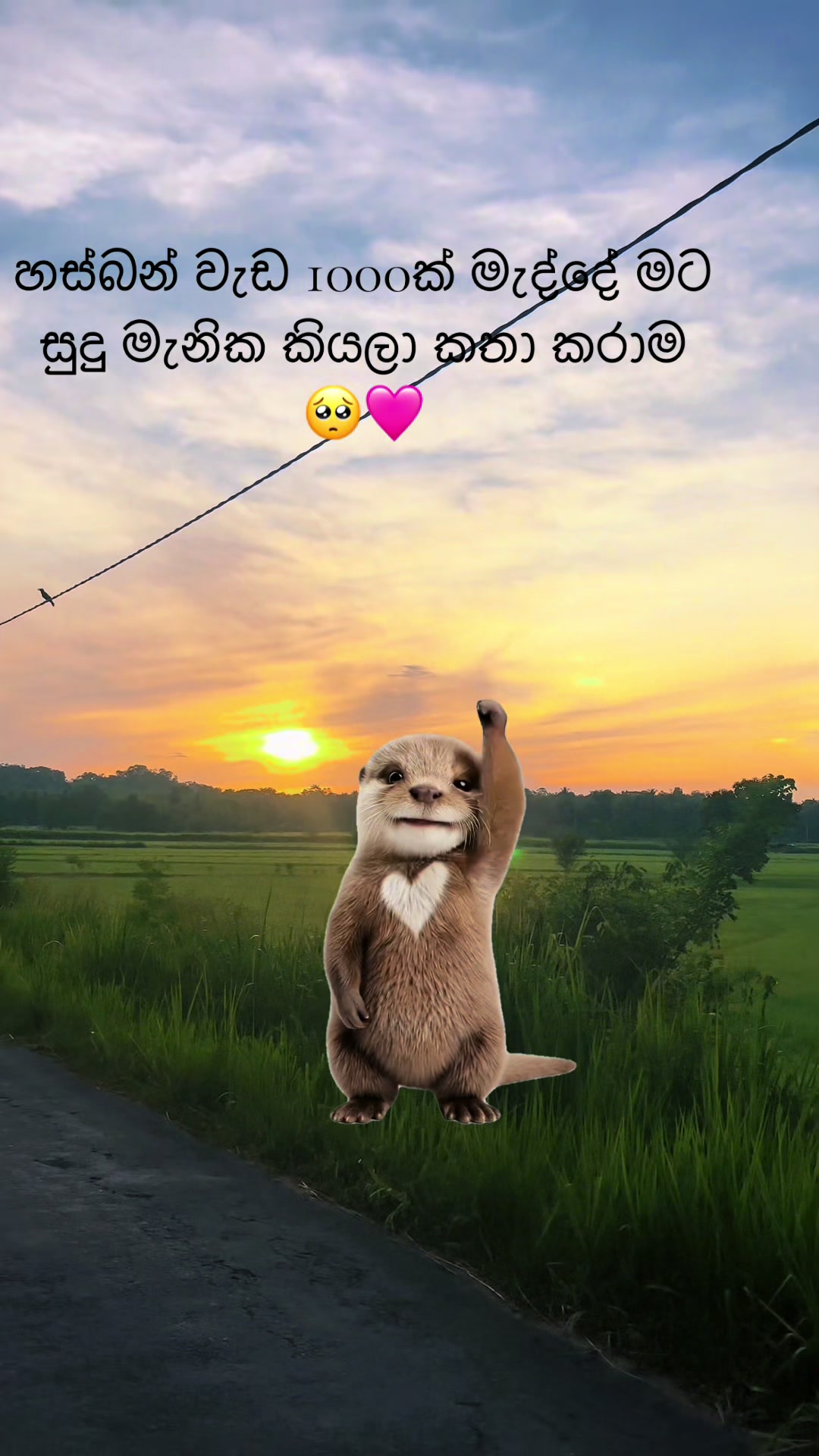 @anu ❤️🌹