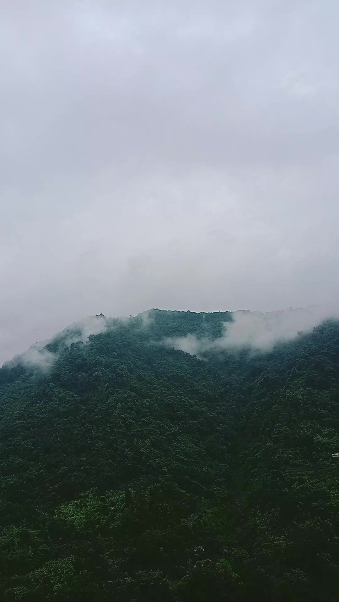@कान्छा 💐🔥