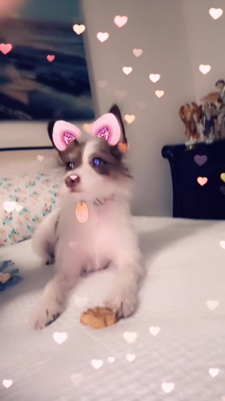 @✨N✨