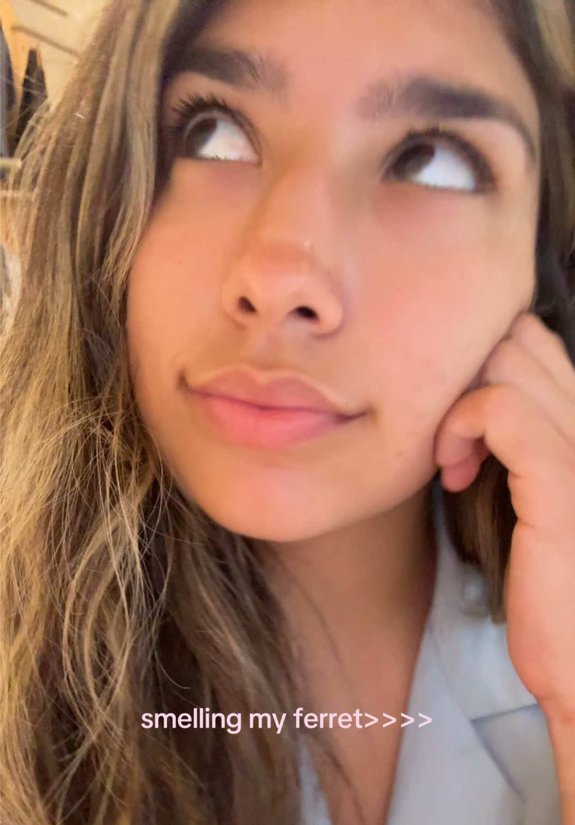 @imanimeza