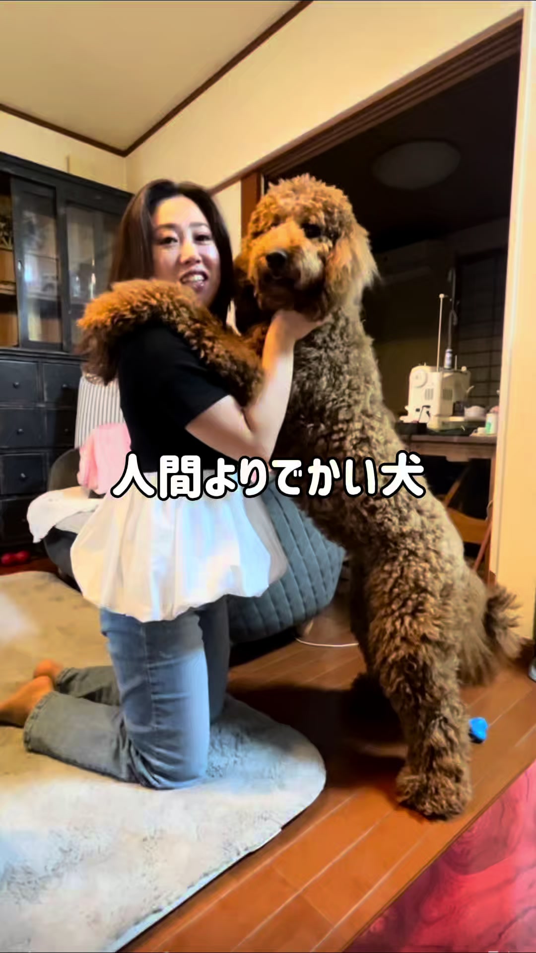 @尼崎の愉快なB B A達