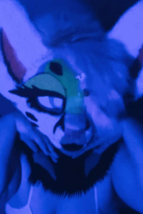 @Liger~Liger🐾🍉