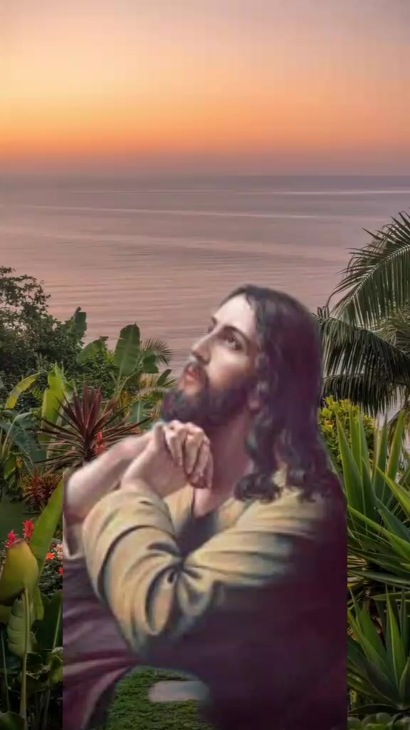@seguidor de jesus