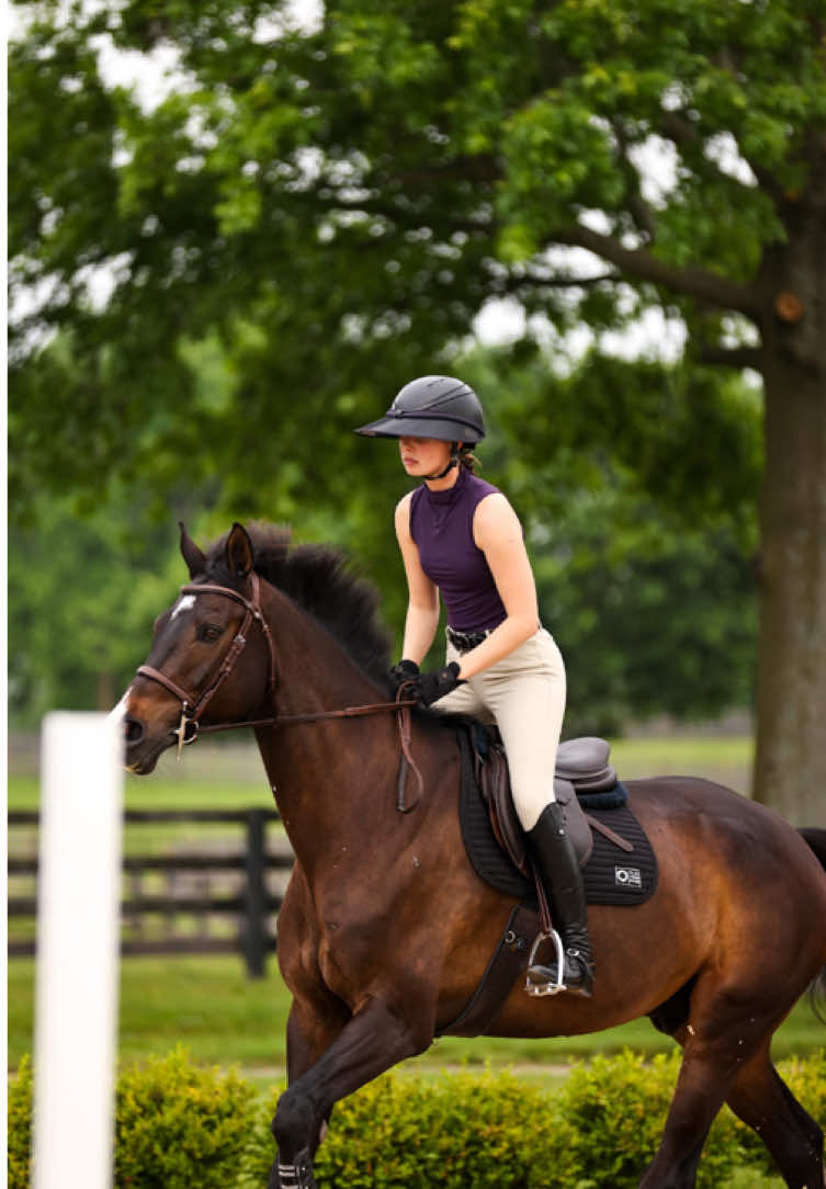 @Equisite Elements of Style