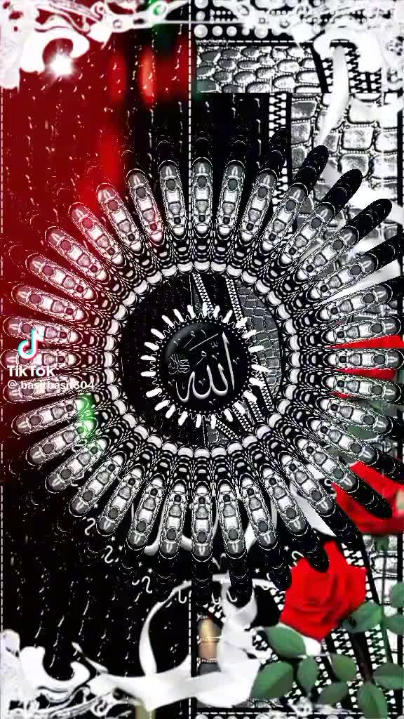 @mdshahin23422@gmail.com