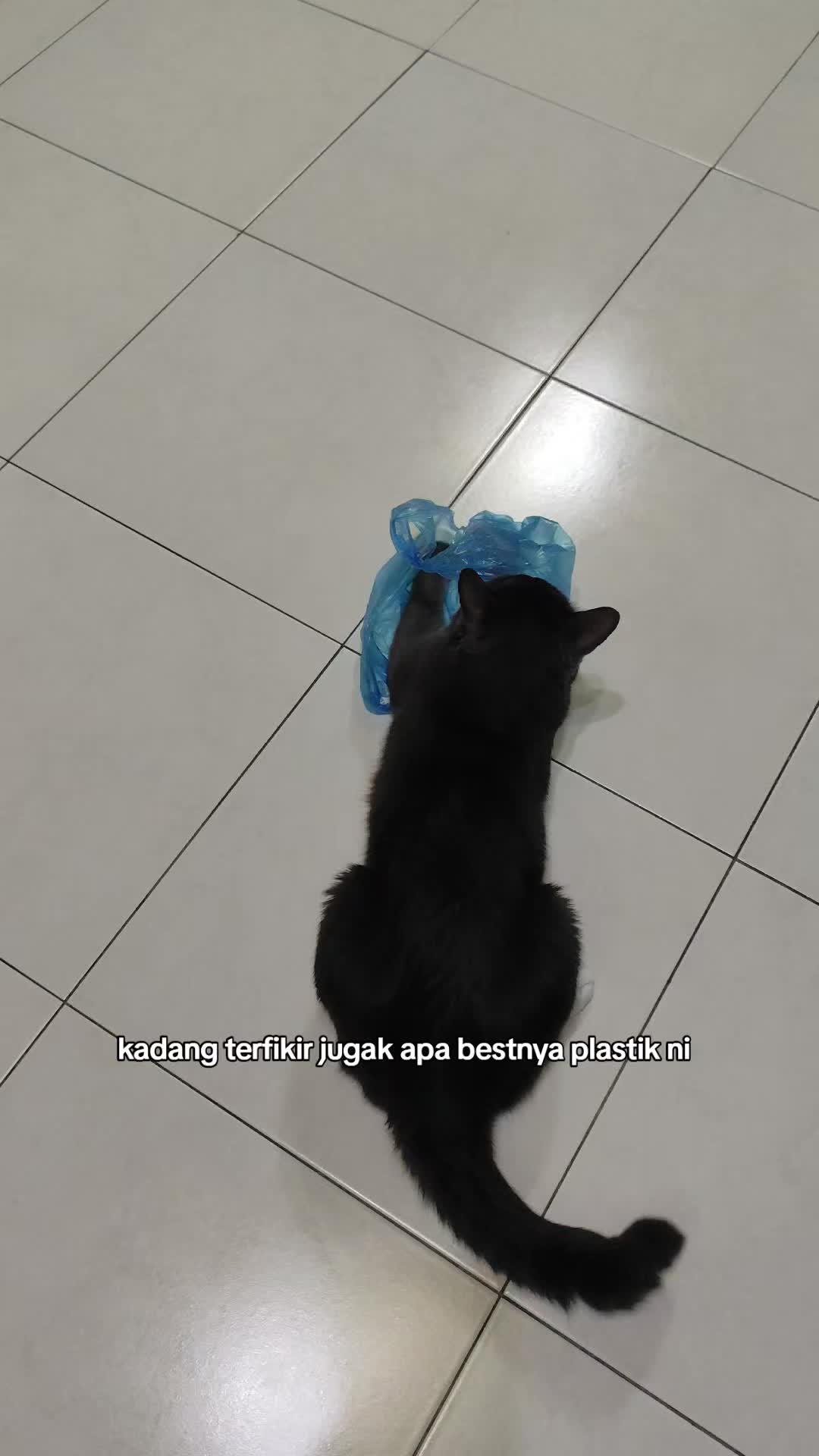 @Omma Kucing 🇲🇾🍉