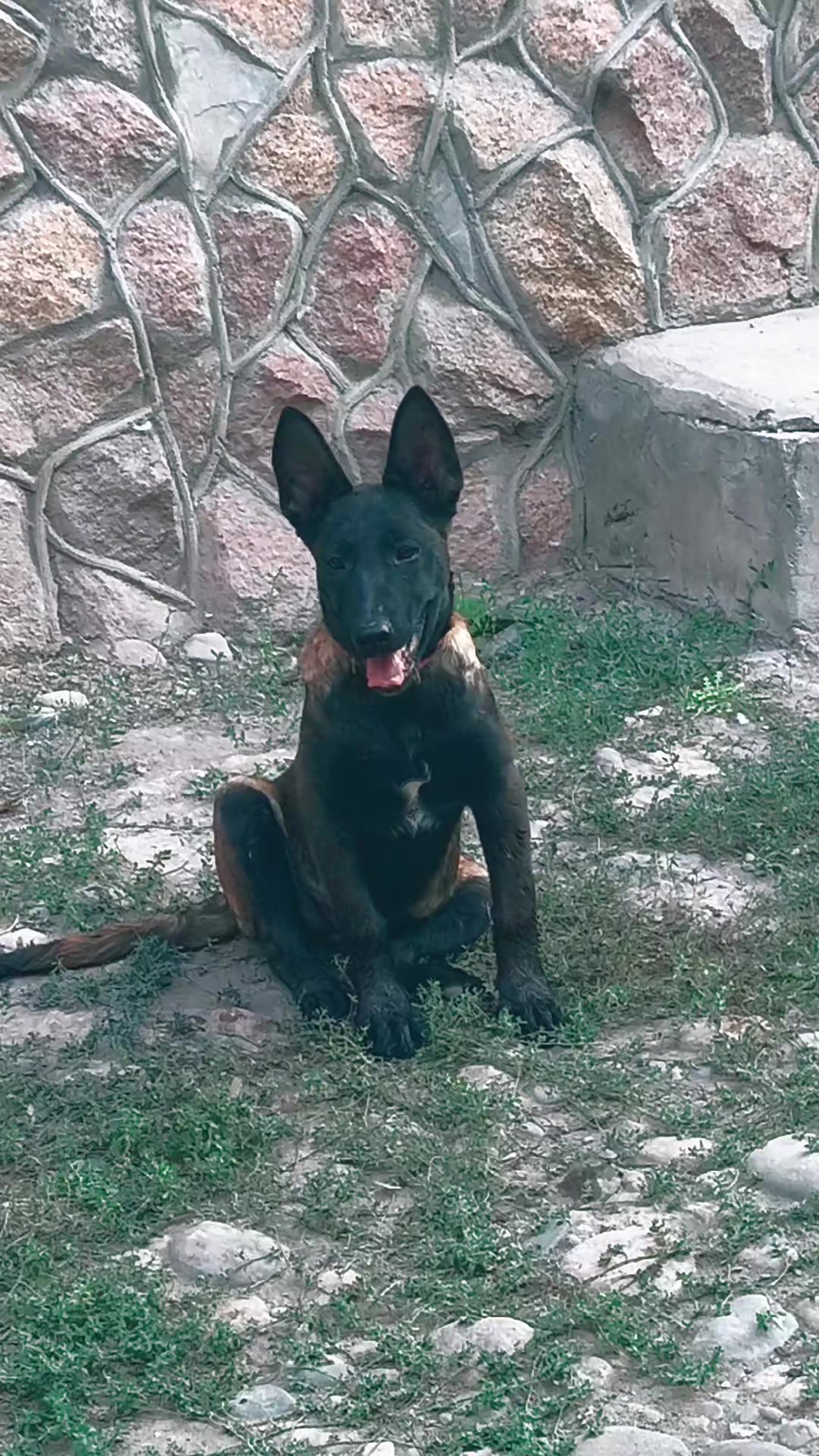 @𝐄𝐋𝐋𝐓𝐎