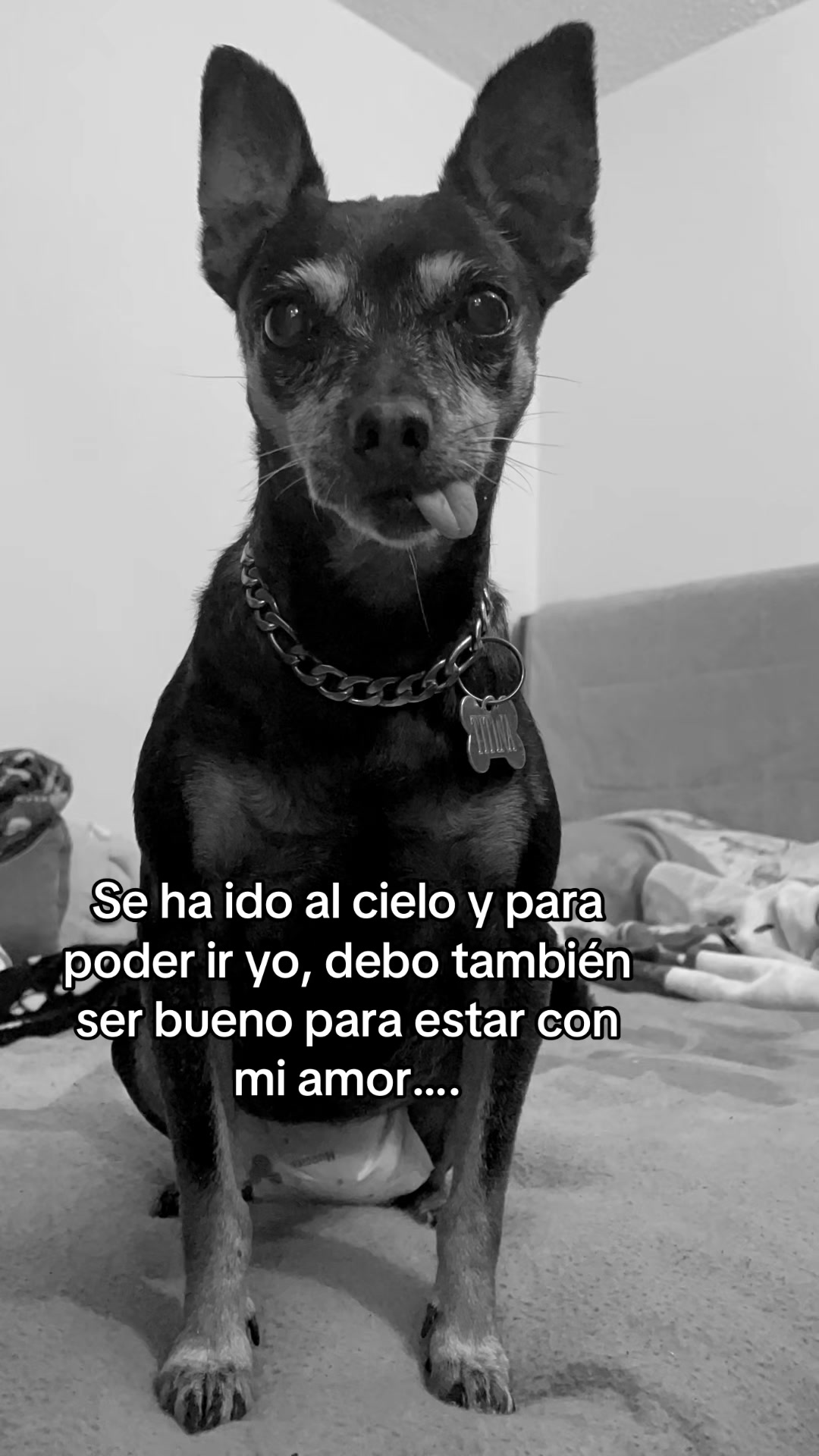 @Daniela Acosta