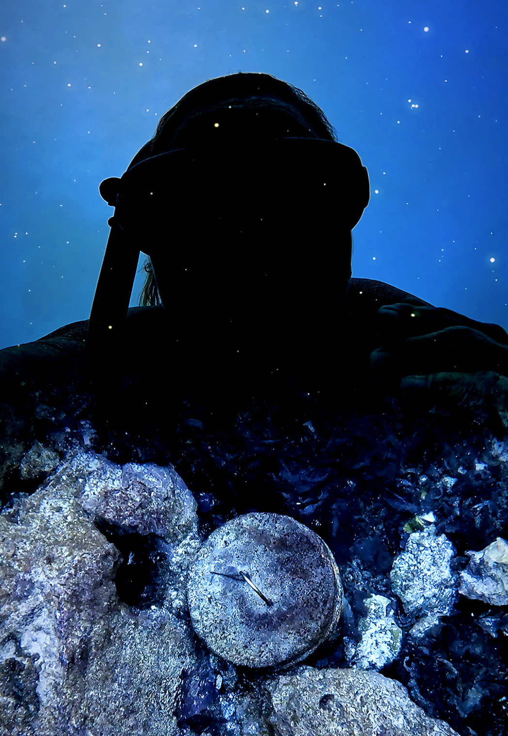 @Gulf Coast Mermaid 🧜&zwj;♀️