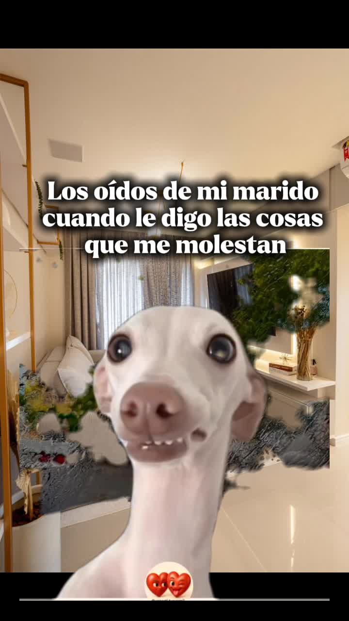 @Wendolin🐈⬛🍒