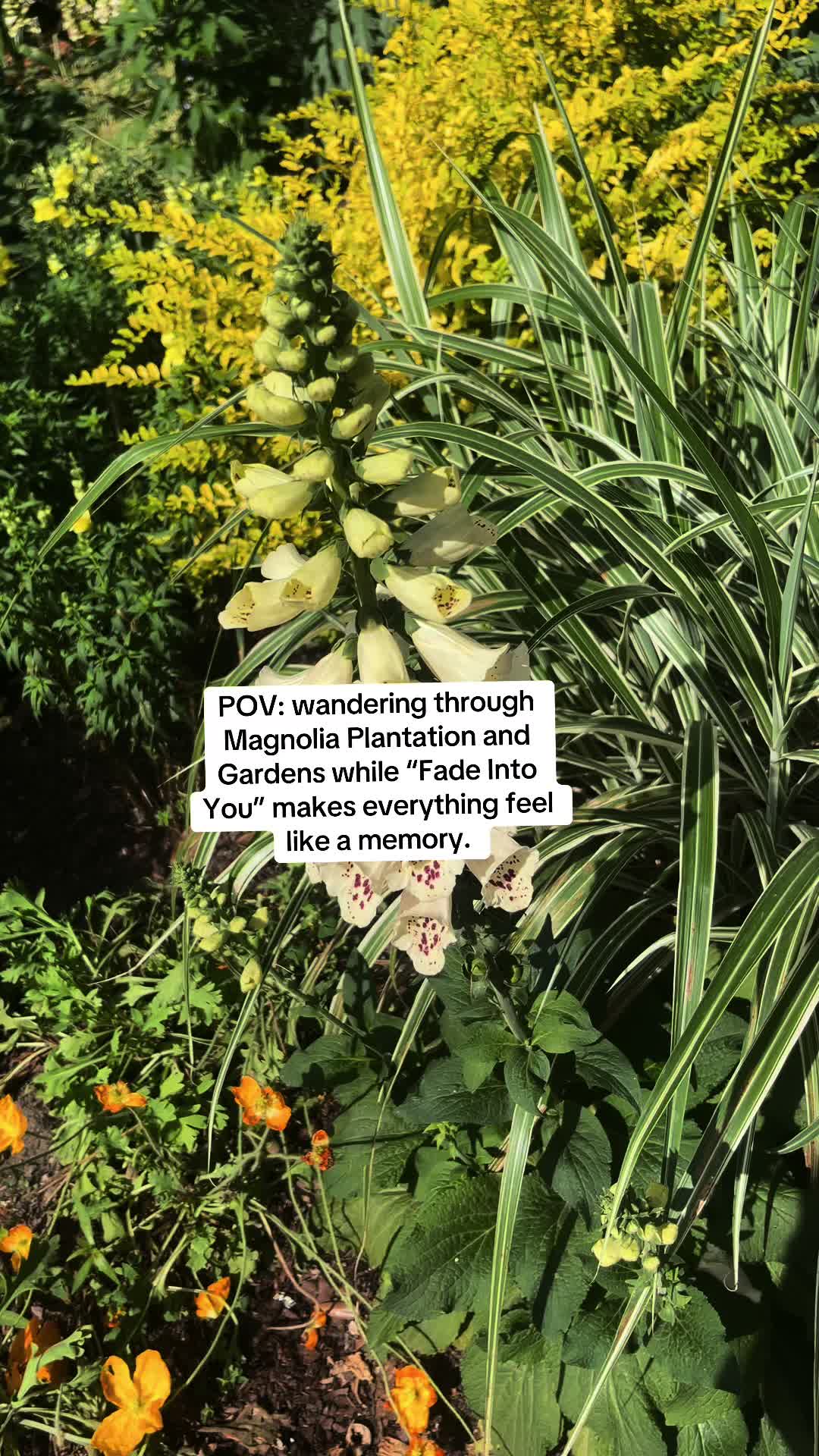 @PAIGE 🌙☀️💫