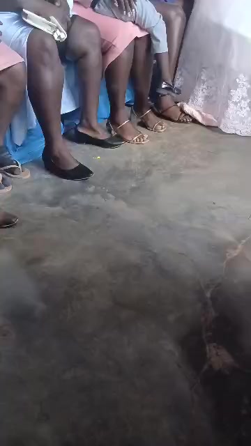 @Franklin José809