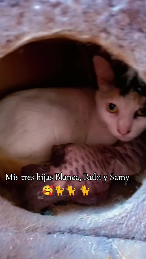 @Luz Ortiz