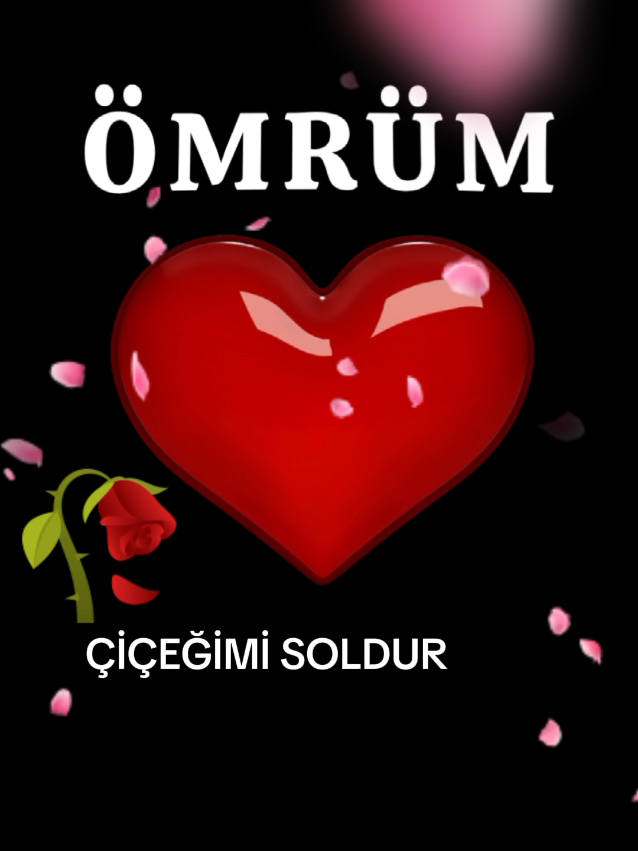 @SHOW İS NAME