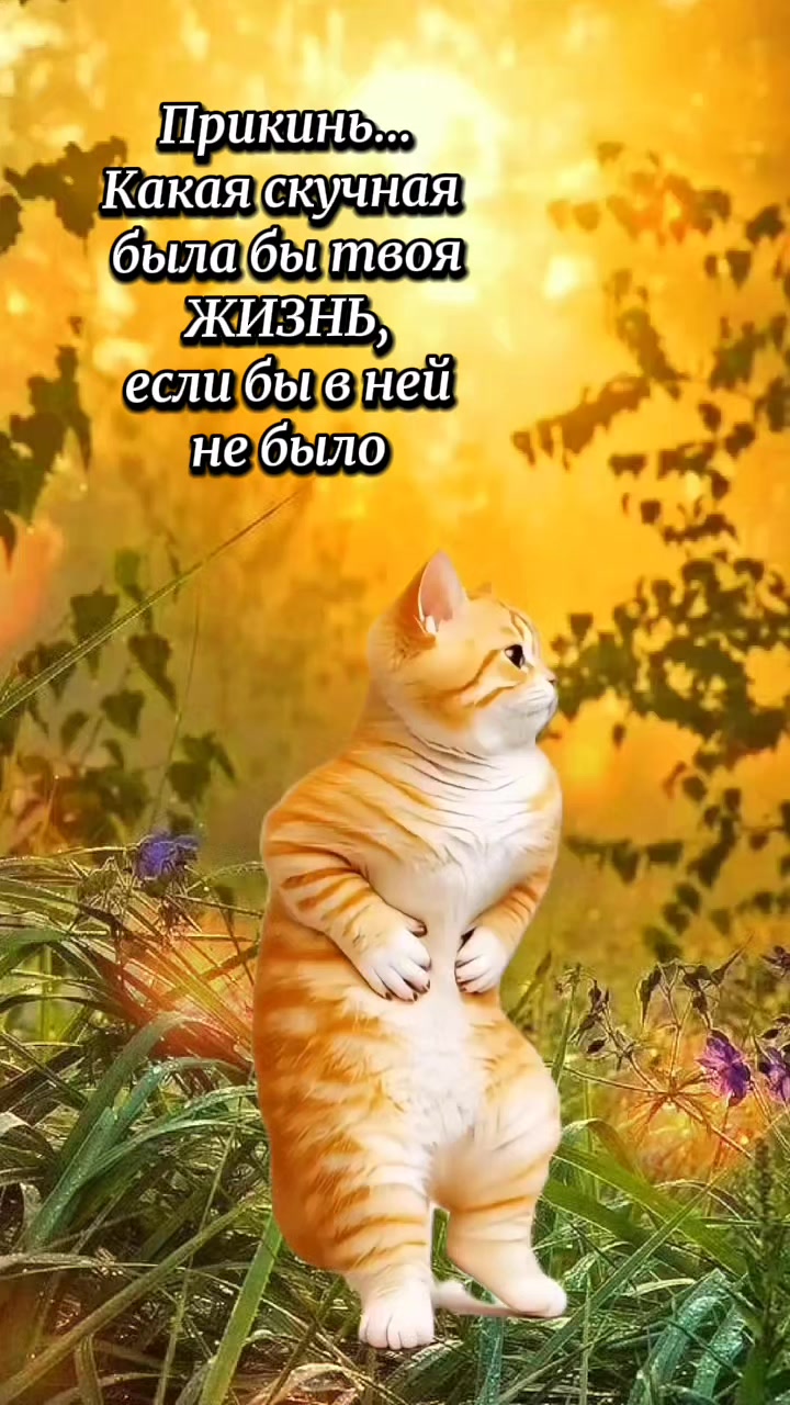 @💔Лилия💔🥀