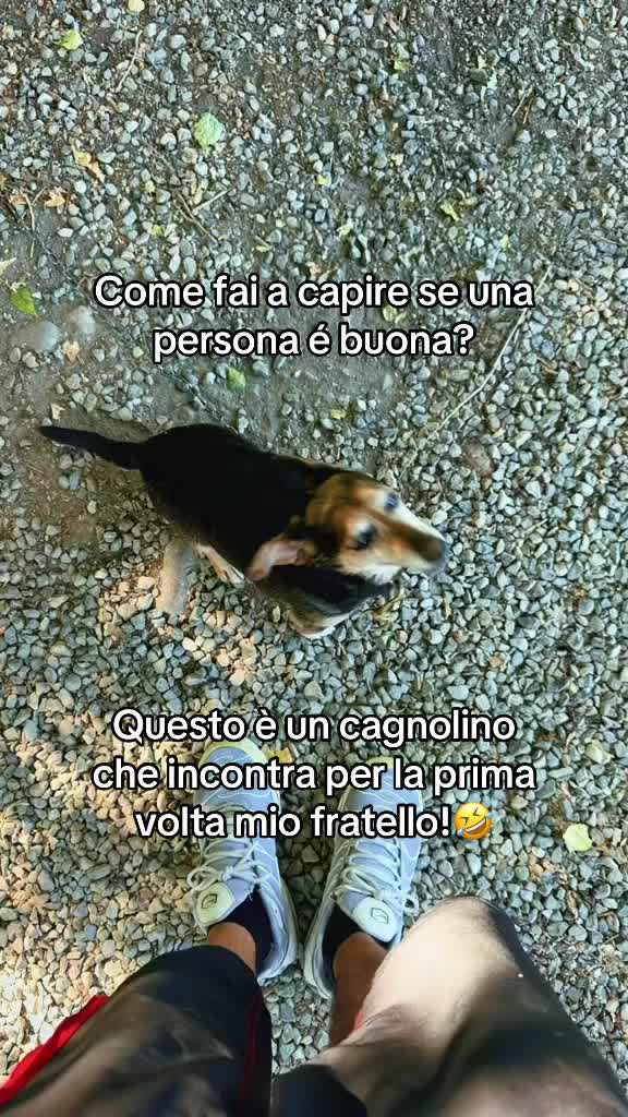 @La famiglia Ognibene